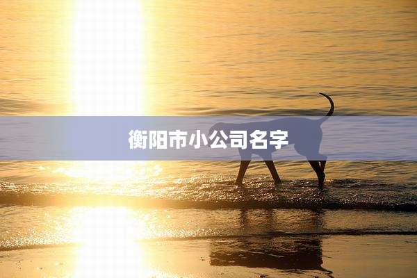 衡阳市小公司名字