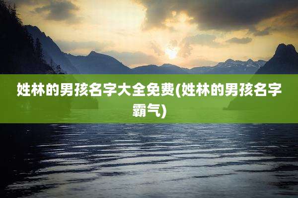 姓林的男孩名字大全免费(姓林的男孩名字霸气)
