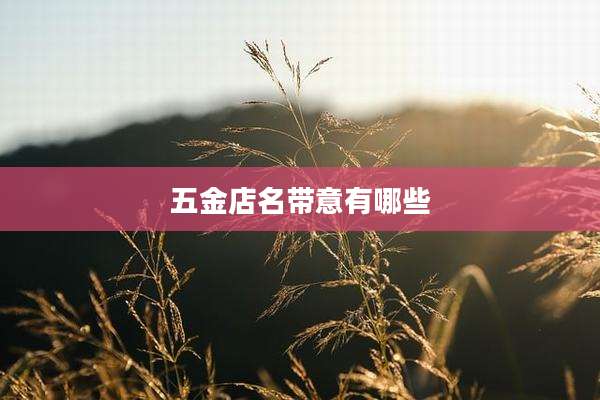 五金店名带意有哪些