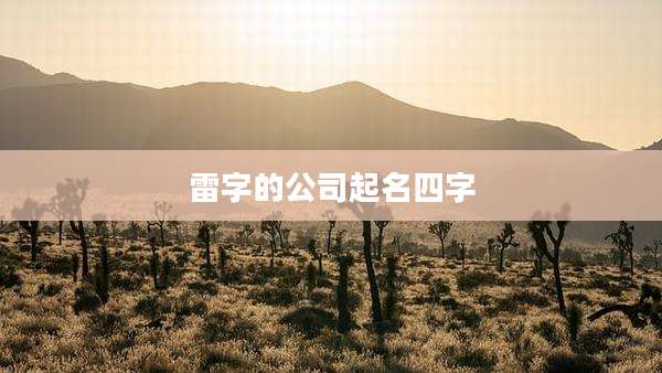 雷字的公司起名四字