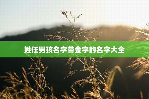 姓任男孩名字带金字的名字大全