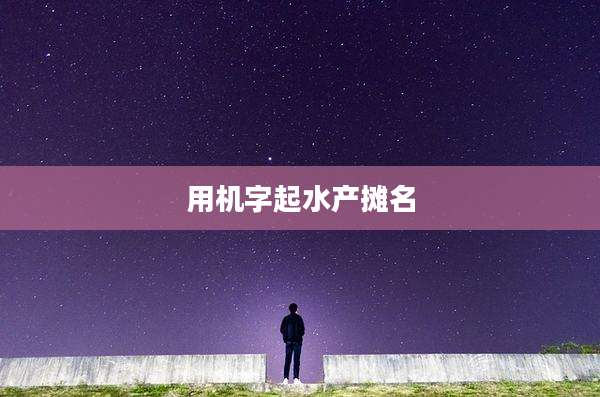 用机字起水产摊名