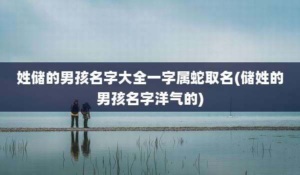 姓储的男孩名字大全一字属蛇取名(储姓的男孩名字洋气的)