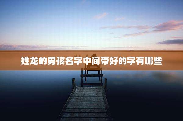 姓龙的男孩名字中间带好的字有哪些