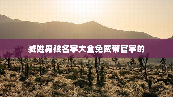 臧姓男孩名字大全免费带官字的