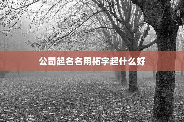 公司起名名用拓字起什么好