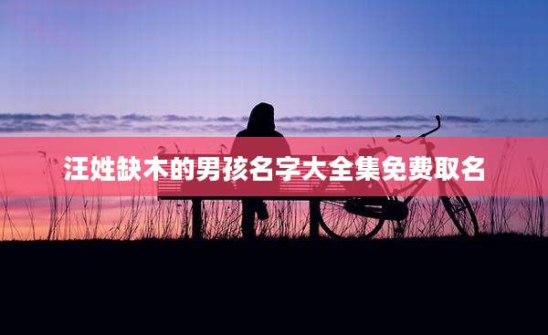 汪姓缺木的男孩名字大全集免费取名