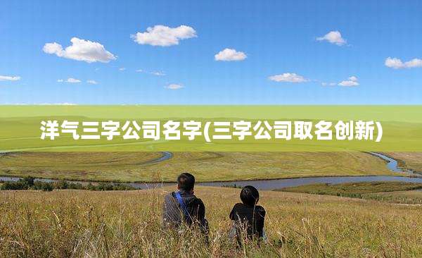 洋气三字公司名字(三字公司取名创新)