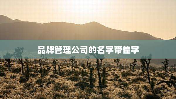 品牌管理公司的名字带佳字