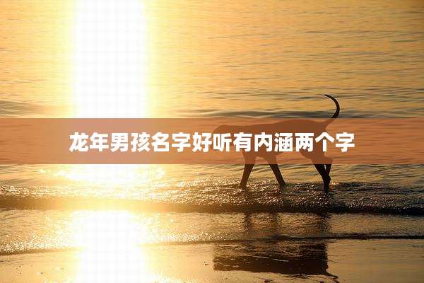 龙年男孩名字好听有内涵两个字