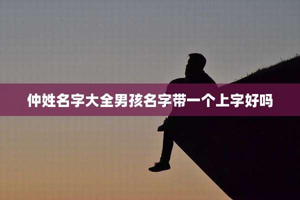 仲姓名字大全男孩名字带一个上字好吗