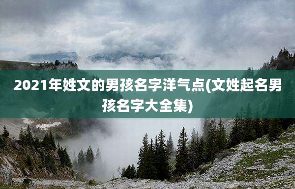 2021年姓文的男孩名字洋气点(文姓起名男孩名字大全集)