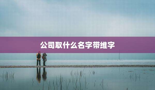 公司取什么名字带维字