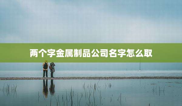 两个字金属制品公司名字怎么取