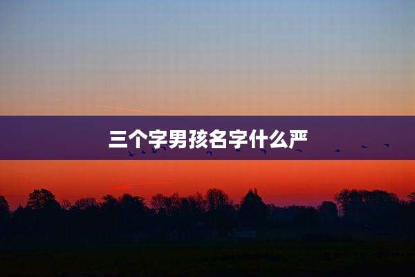 三个字男孩名字什么严