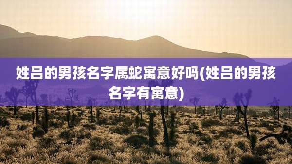 姓吕的男孩名字属蛇寓意好吗(姓吕的男孩名字有寓意)