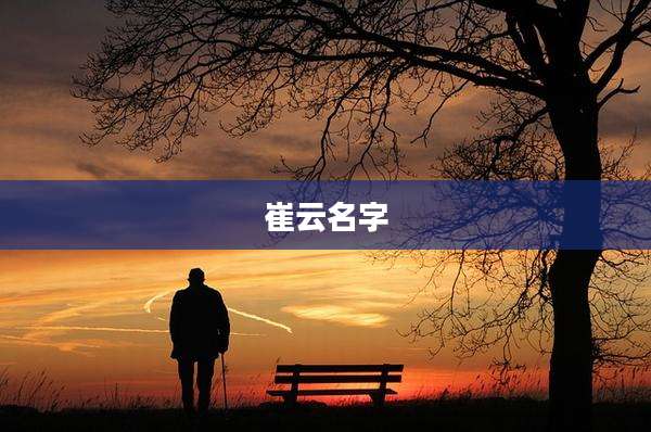 崔云名字