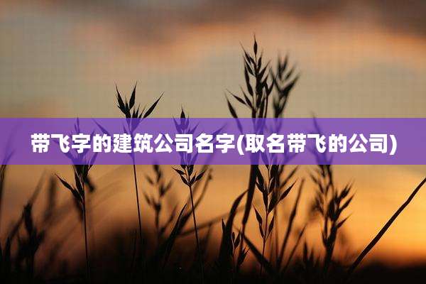 带飞字的建筑公司名字(取名带飞的公司)