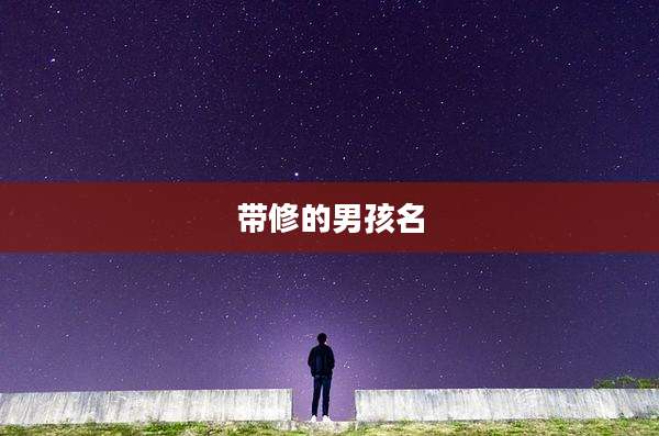 带修的男孩名