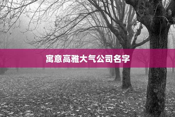 寓意高雅大气公司名字