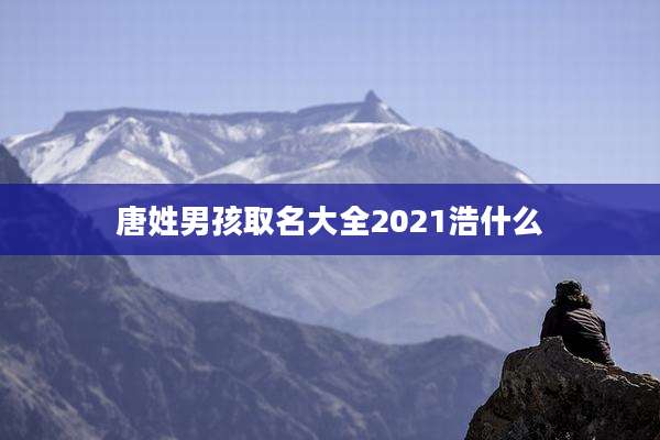 唐姓男孩取名大全2021浩什么
