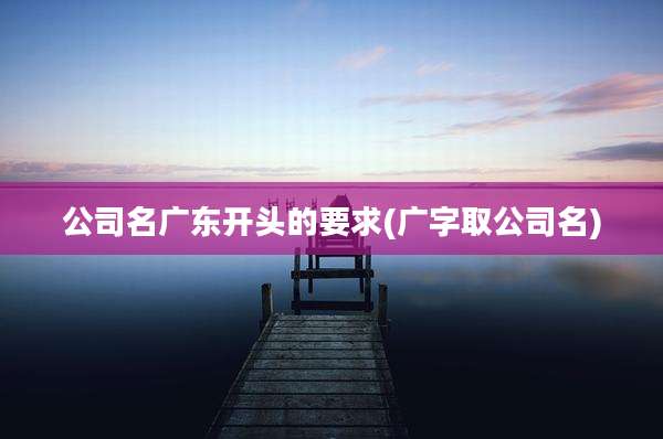公司名广东开头的要求(广字取公司名)