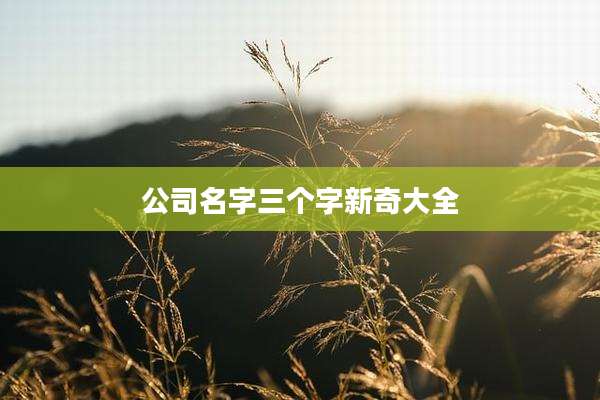 公司名字三个字新奇大全