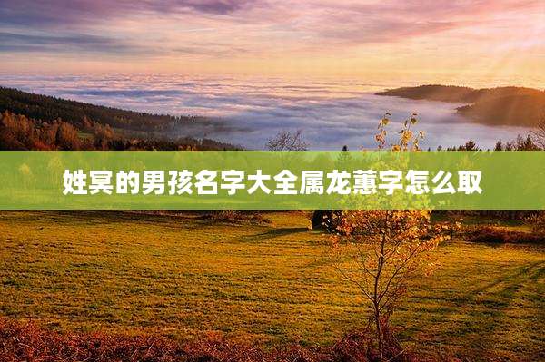 姓冥的男孩名字大全属龙蕙字怎么取