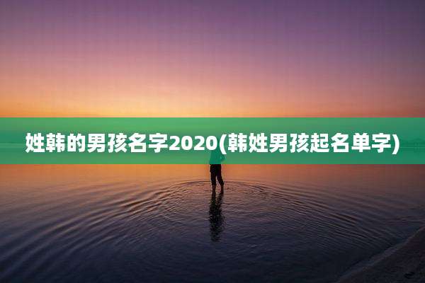 姓韩的男孩名字2020(韩姓男孩起名单字)