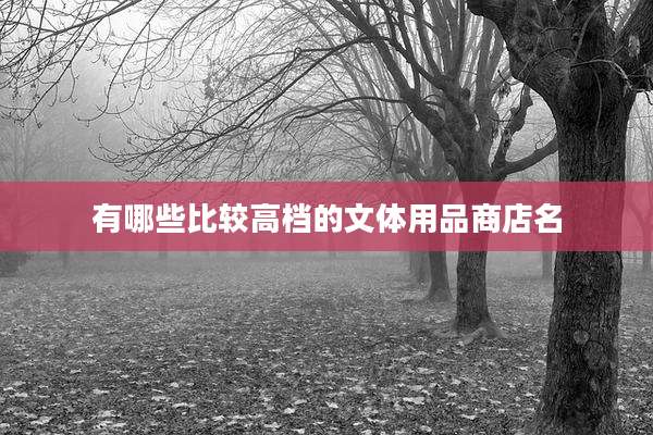 有哪些比较高档的文体用品商店名
