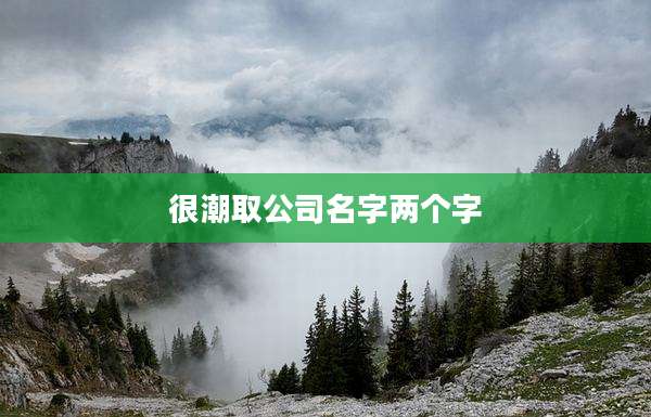 很潮取公司名字两个字