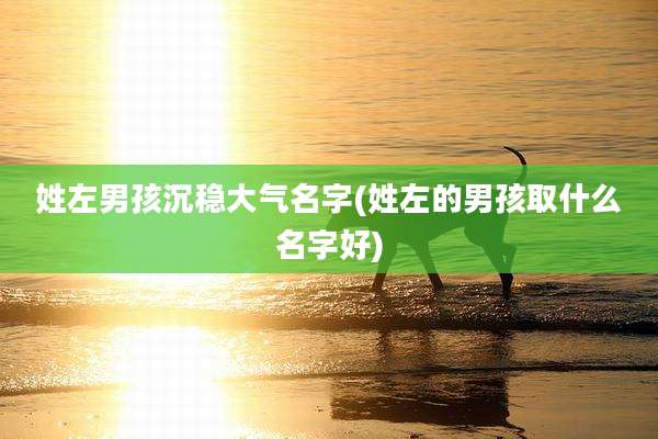 姓左男孩沉稳大气名字(姓左的男孩取什么名字好)
