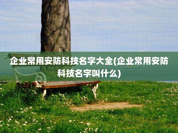 企业常用安防科技名字大全(企业常用安防科技名字叫什么)