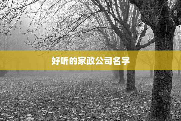 好听的家政公司名字