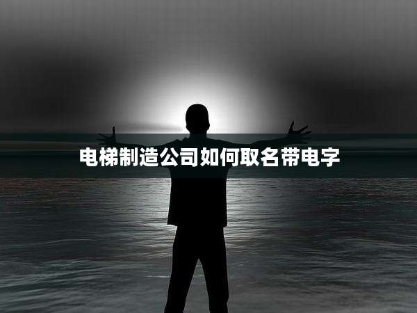 电梯制造公司如何取名带电字