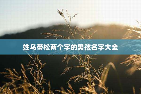 姓乌带松两个字的男孩名字大全