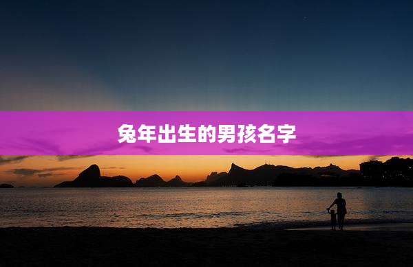 兔年出生的男孩名字