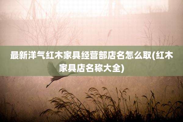 最新洋气红木家具经营部店名怎么取(红木家具店名称大全)