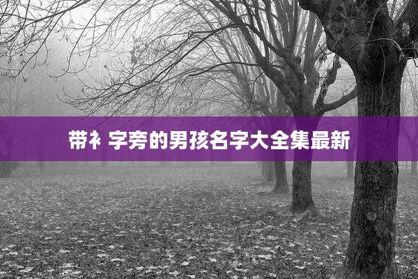 带衤字旁的男孩名字大全集最新