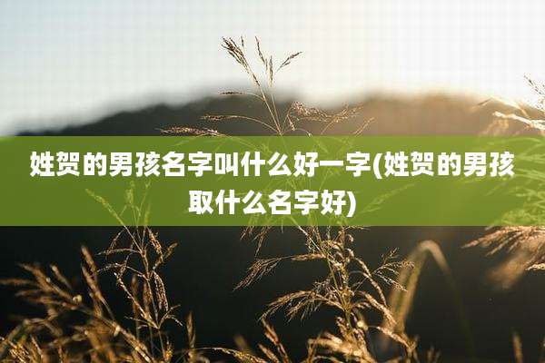姓贺的男孩名字叫什么好一字(姓贺的男孩取什么名字好)