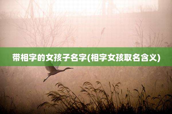 带相字的女孩子名字(相字女孩取名含义)