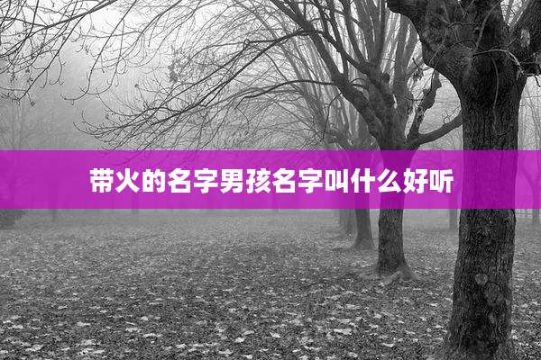 带火的名字男孩名字叫什么好听