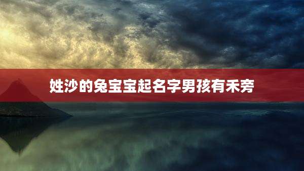 姓沙的兔宝宝起名字男孩有禾旁