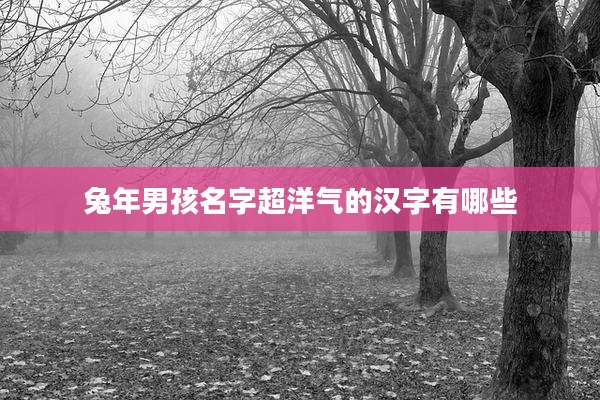 兔年男孩名字超洋气的汉字有哪些
