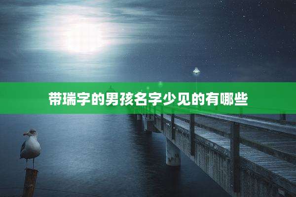 带瑞字的男孩名字少见的有哪些