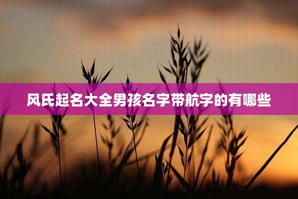 风氏起名大全男孩名字带航字的有哪些