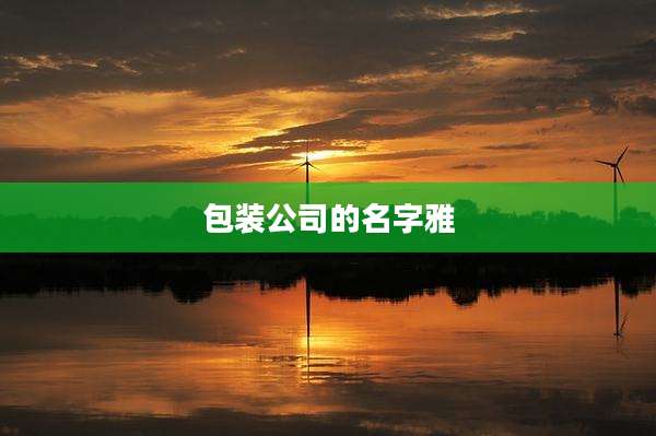 包装公司的名字雅