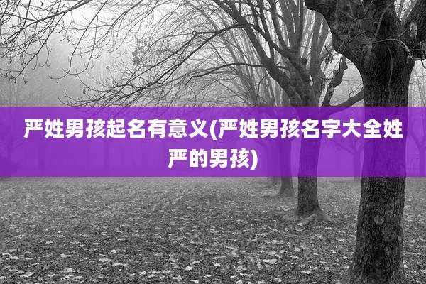 严姓男孩起名有意义(严姓男孩名字大全姓严的男孩)