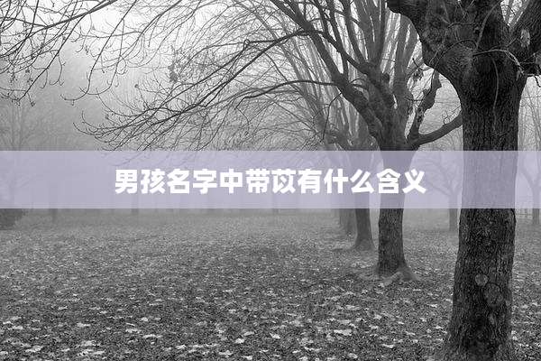 男孩名字中带苡有什么含义