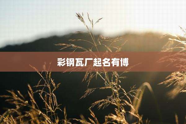 彩钢瓦厂起名有博